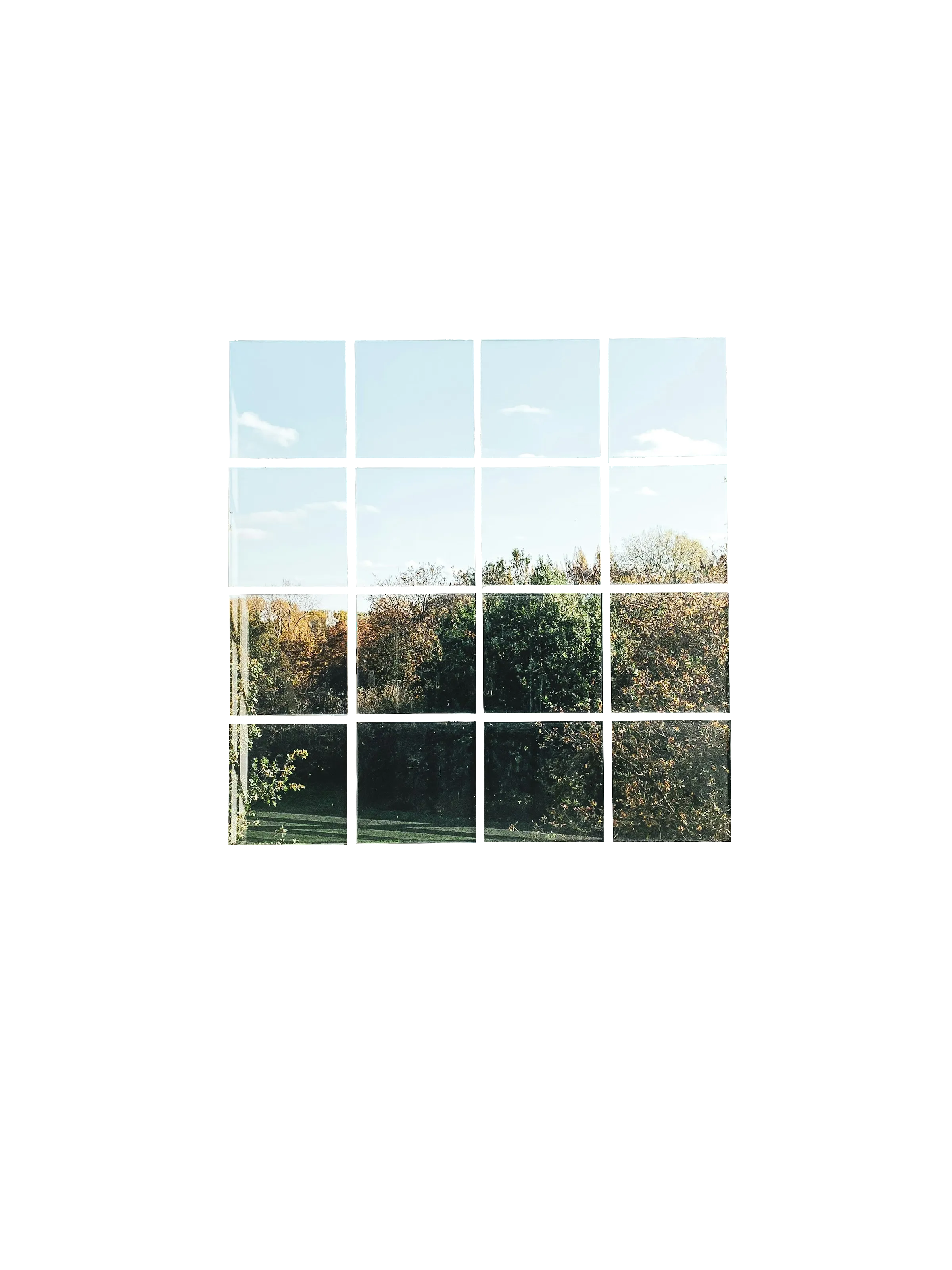 Experiencias Inmersivas